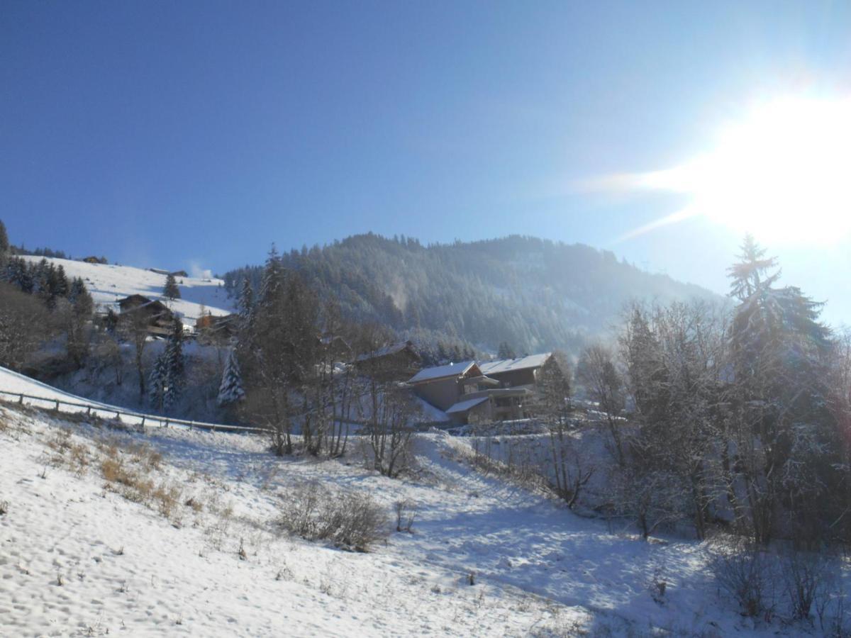 Appartement Châtel, 3 pièces, 6 personnes - FR-1-198-184 Esterno foto
